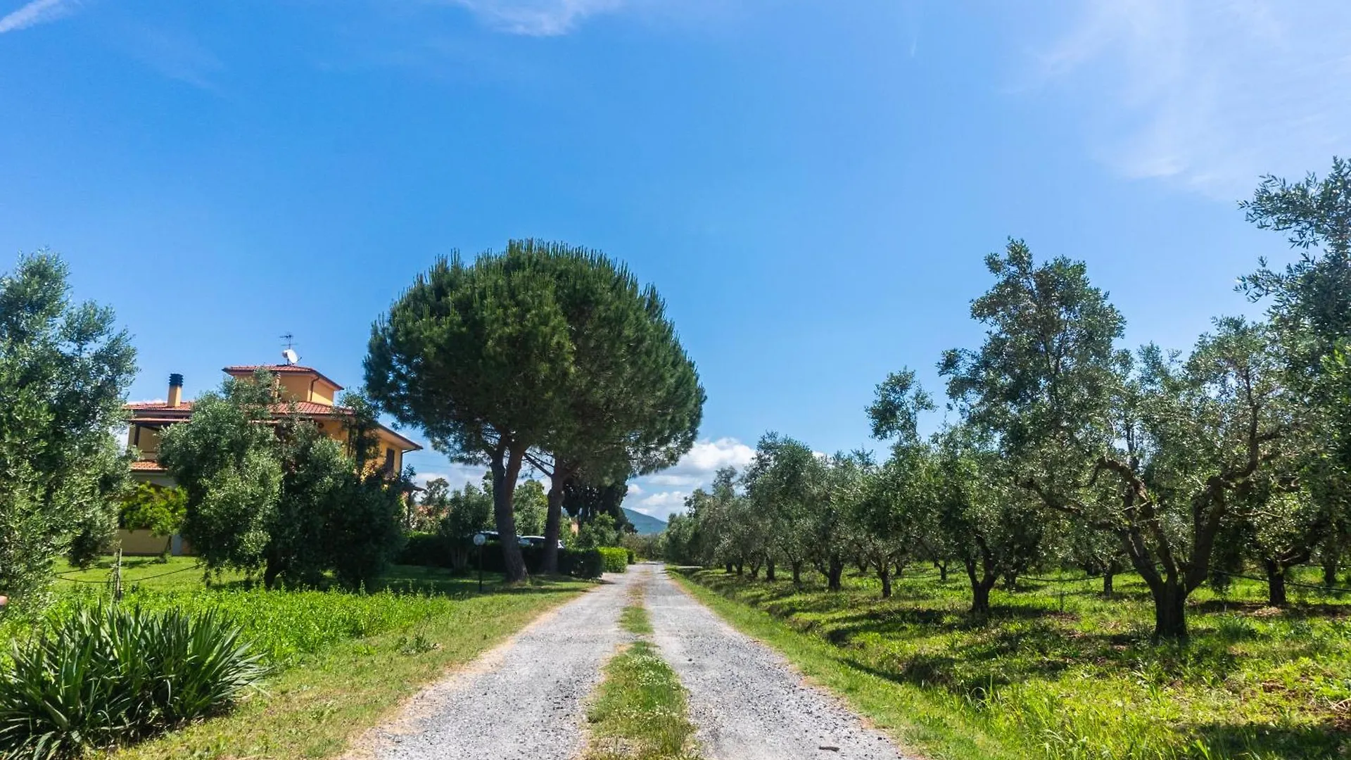 Gospodarstwo agroturystyczne Agriturismo Il Tripesce Vada