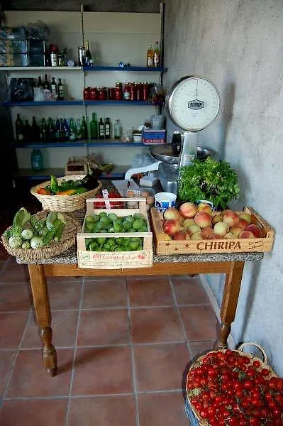 Agriturismo Il Tripesce Vada Gospodarstwo agroturystyczne