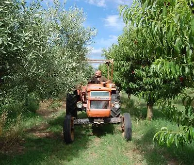 Agriturismo Il Tripesce Vada 0*,