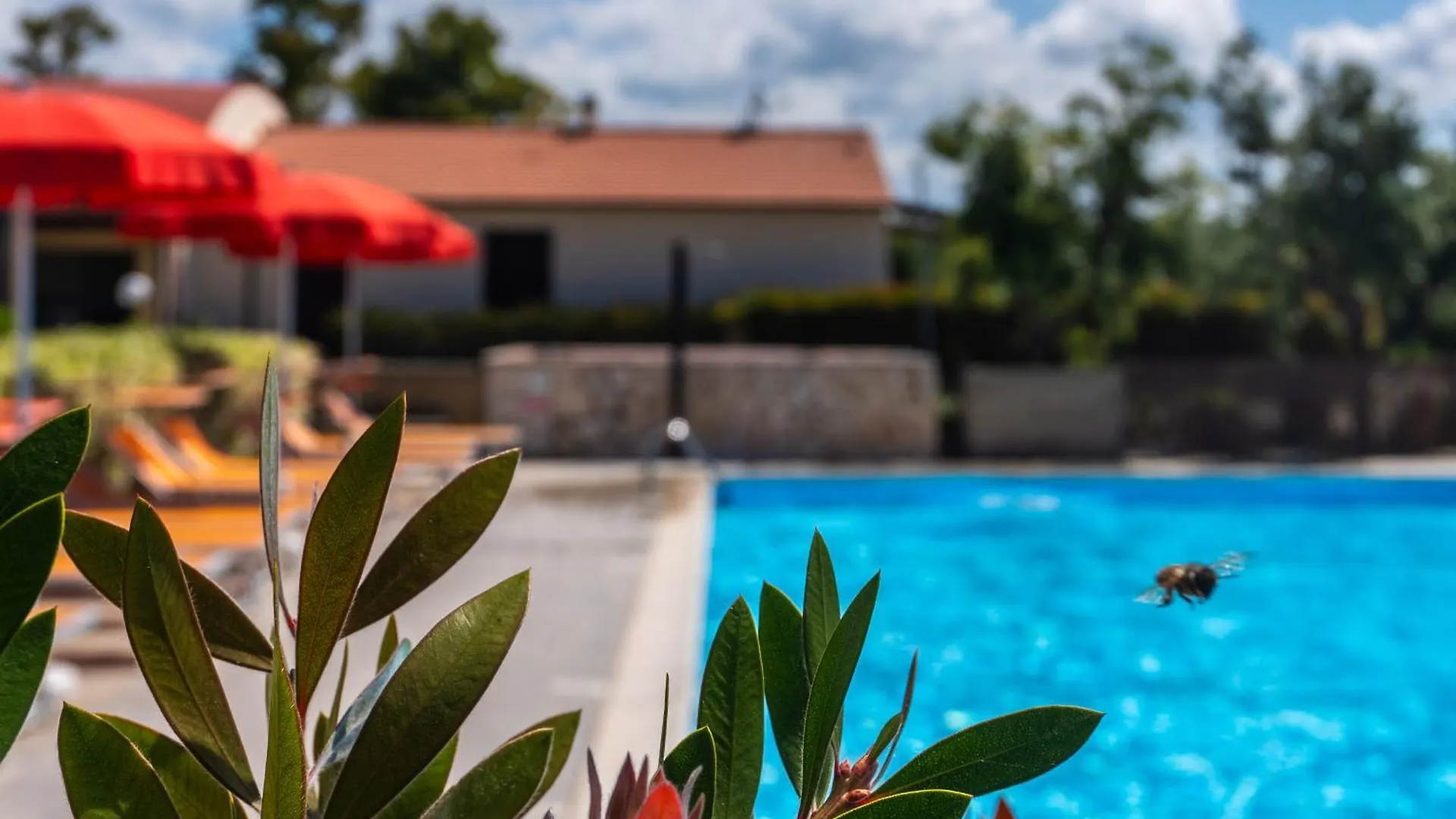 Farm stay Agriturismo Il Tripesce Villa Vada