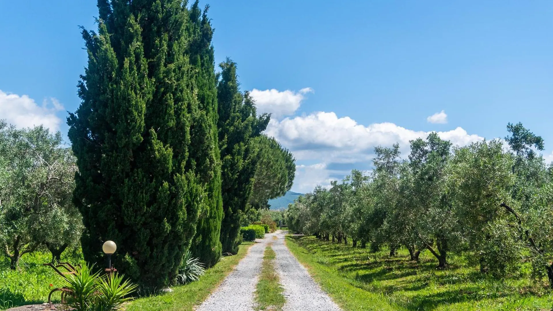 Agriturismo Il Tripesce Vada Farm stay