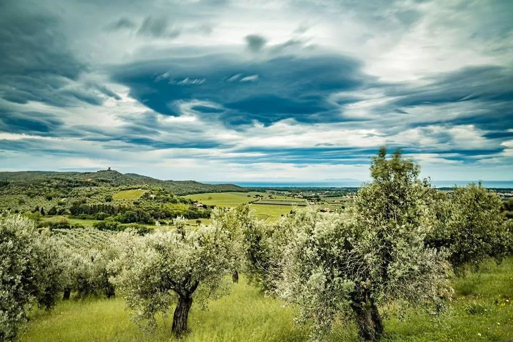 Agriturismo Il Tripesce Vada Farm stay