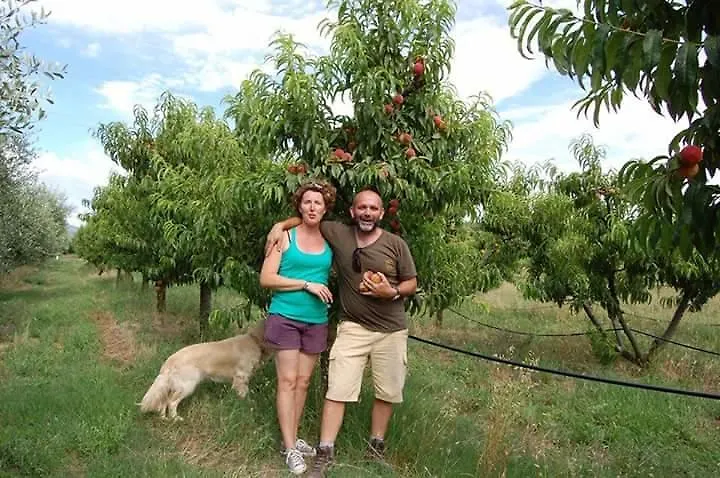 Farm stay Agriturismo Il Tripesce Vada Italy