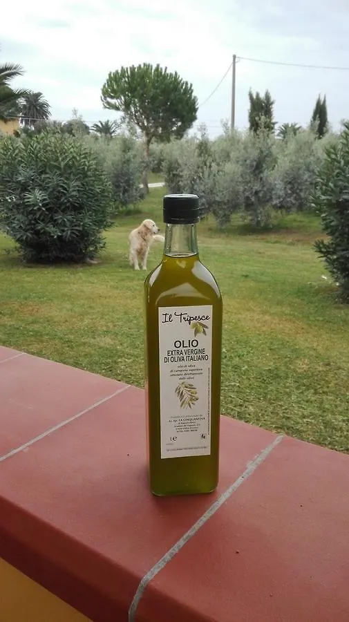 Farm stay Agriturismo Il Tripesce Vada