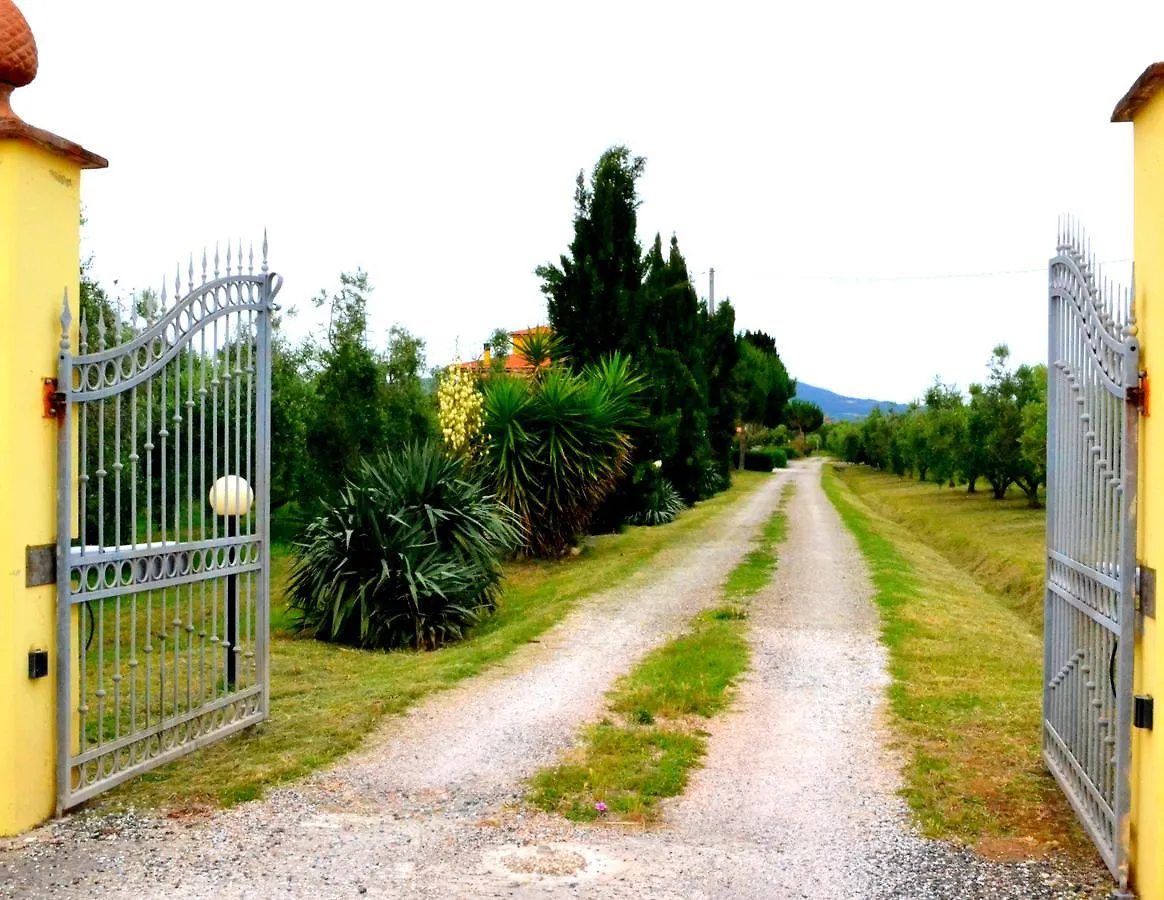 Agriturismo Il Tripesce Vada