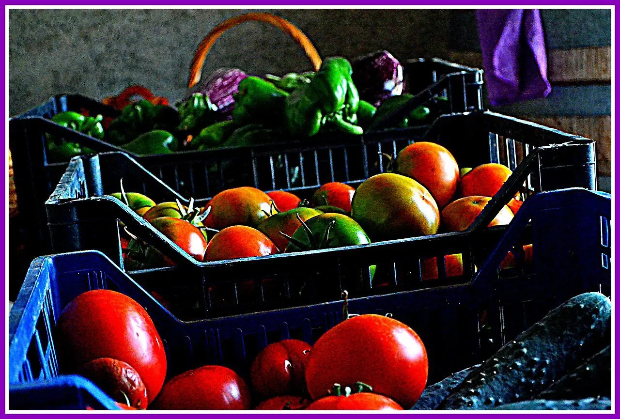 Agriturismo Il Tripesce Vada
