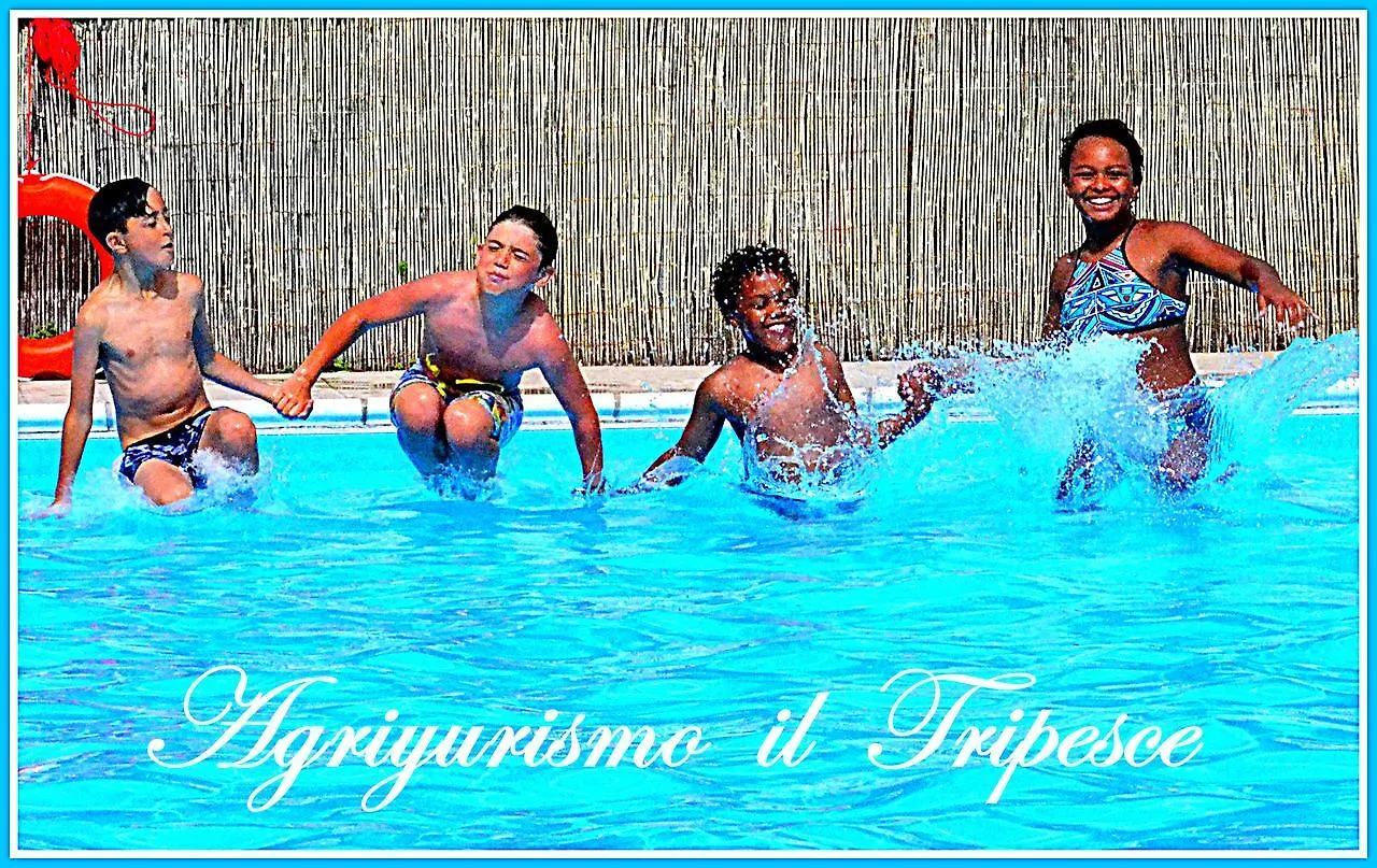 Agriturismo Il Tripesce Vada 0*,